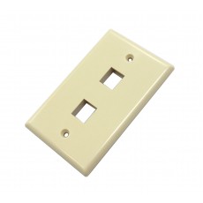 CAT503IV-2: 2 hole wall plate for CAT5/6