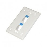 CAT603-2: 45 Degree Keystone wall plate 2 hole with icon